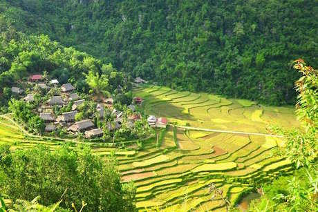 Voyage au Vietnam insolite au milieu des rizières en terrasses