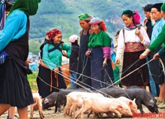 Le marché montagnard de Hà Giang, un vrai régal pour les yeux Le marche montagnard