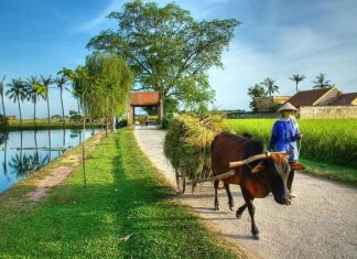Les villages de métier de Hanoi Vietnam villages de métier traditionnels