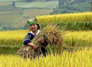 Visiter le Vietnam et c’est quoi le Vietnam ? visiter le vietnam