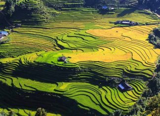 Quand est le meilleur moment pour visiter Sapa ? Quand est le meilleur moment pour visiter Sapa 6