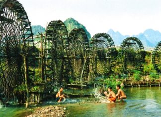 La réserve naturelle sauvage Pu Luong La réserve naturelle Pu Luong