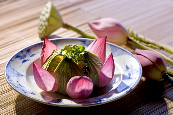 le lotus la fleur nationale du vietnam 1