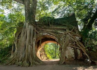 La citadelle Son Tay – un vestige historique à découvrir Citadelle Son Tay