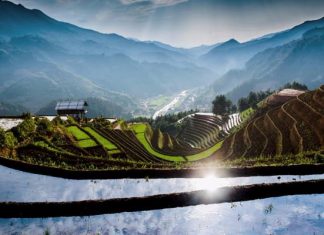 Mu Cang Chai Vietnam – le paradis des rizières en terrasse mu cang chai vietnam 1