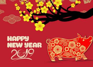 Le cochon dans la culture Vietnam Le cochon dans la culture Vietnam 1