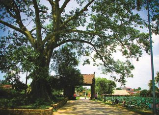 Village de Duong Lam – l’âme des Viets d’autrefois Village de Duong Lam