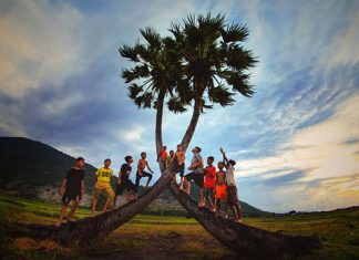 Province de Tay Ninh – La terre de la beauté simple Province de Tay Ninh