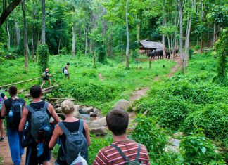 Parc national de Cuc Phuong – Réserve naturelle de Cuc Phuong Parc national de Cuc Phuong 4