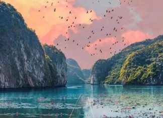 Raisons pour visiter le Vietnam. Pourquoi partir en voyage au Vietnam ? Raisons pour visiter le Vietnam 1