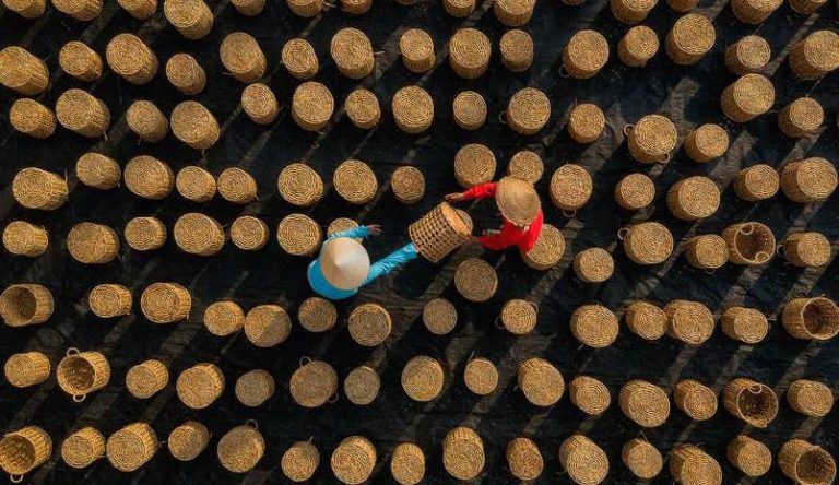 Voyage au Vietnam : Voyager en autonomie ou avec une agence locale Vietnamienne