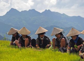 Séjour Vietnam 15 jours / Que faire au Vietnam pour un Séjour Vietnam 15 jours ? Séjour Vietnam 15 jours