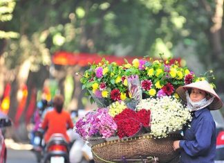 Itinéraire Vietnam du Sud au nord / Que faire au Vietnam du Sud au Nord ? Itinéraire Vietnam du Sud au nord