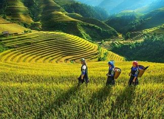 Visiter Sapa ou Réserve naturelle Pu Luong Visiter Sapa ou Réserve naturelle Pu Luong