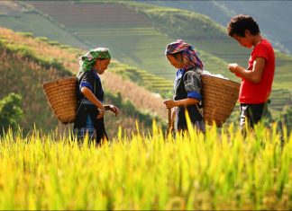 Circuit dans le Nord Ouest du Vietnam : que faire et voir ? Circuit dans le Nord Ouest du Vietnam