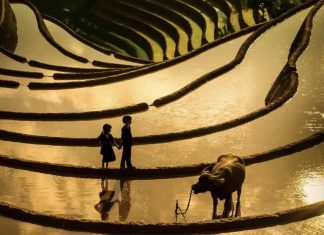 Meilleures destinations au Nord du Vietnam / Le Vietnam Authentique Meilleures destinations au Nord du Vietnam