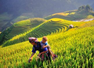 Pourquoi visiter le Nord du Vietnam en Automne en Septembre, Octobre, Novembre ? visiter le Nord du Vietnam en Automne 3