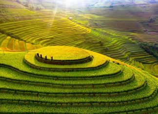 Quelle est la meilleure période pour visiter le Vietnam ? Quand partir au Vietnam ? Voyage au Vietnam depuis la France