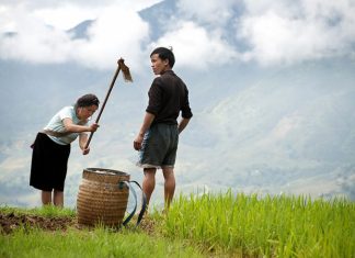 Prix Voyage Vietnam 15 jours / Quel budget pour un voyage Vietnam 15 jours ? Prix Voyage Vietnam 15 jours