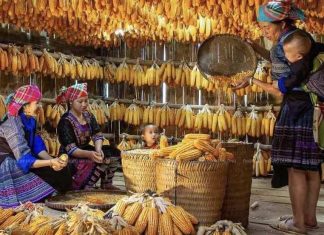 Circuit au Vietnam en 15 jours / Meilleurs circuits Vietnam 15 jours Circuit au Vietnam en 15 jours 2