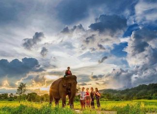 Voyage au Vietnam avec guide et chauffeur / Guide privé au Vietnam Voyage au Vietnam avec guide et chauffeur