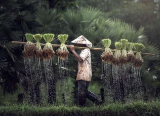 Il y a du chômage au Vietnam ? Taux de chômage au Vietnam chômage au Vietnam 2