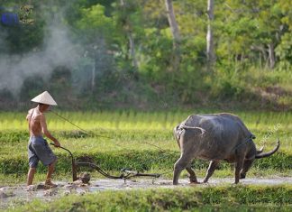 15 jours au Vietnam Essentiel / Découverte du Vietnam en 15 jours 15 jours au Vietnam Essentiel