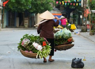 Vietnam en deux semaines / 15 jours au Vietnam du Nord au Sud Vietnam en deux semaines
