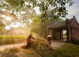 Ancien village de Duong Lam : Un joyau historique près de Hanoi Ancien village de Duong Lam 1