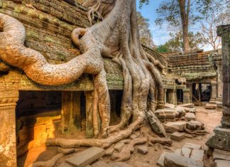 Cambodge en 5 jours / Évasion au Cambodge en 5 jours Cambodge en 5 jours 1