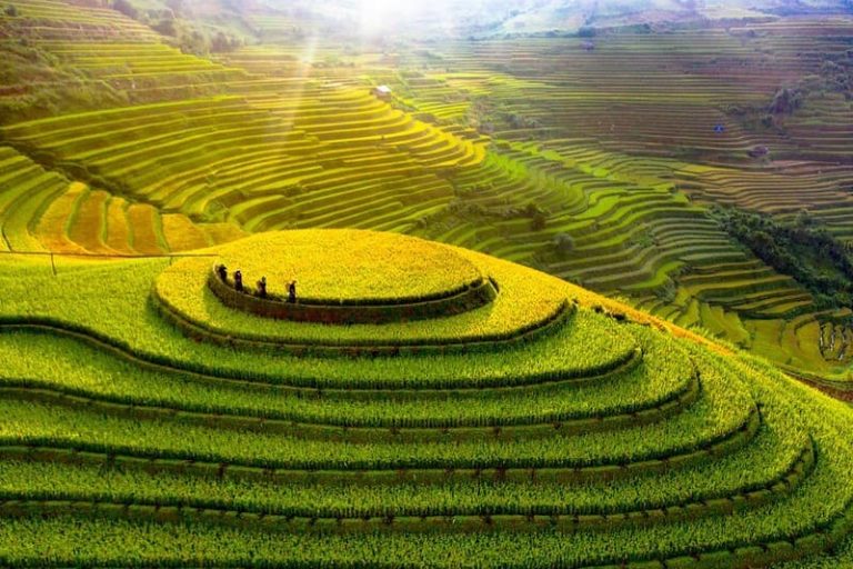 Vietnam en août : Que visiter ? Le guide complet pour réussir son voyage Vietnam