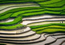 Les plus beaux treks du nord du Vietnam : guide pour une expérience inoubliable Quand partir en trek dans le Nord du Vietnam