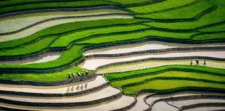 Les plus beaux treks du nord du Vietnam : guide pour une expérience inoubliable Quand partir en trek dans le Nord du Vietnam