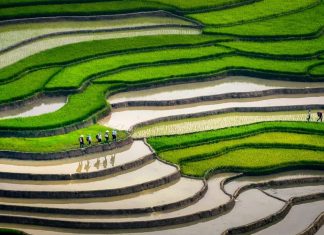 Quand partir en trek dans le Nord du Vietnam ? ( mois, conditions du climat selon le mois, destinations… ) Quand partir en trek dans le Nord du Vietnam