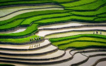 Les plus beaux treks du nord du Vietnam : guide pour une expérience inoubliable Quand partir en trek dans le Nord du Vietnam