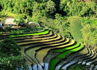 Randonnée hors des sentiers dans les villages Hang Da, Sa Seng à Sapa Randonnée hors des sentiers dans les villages Hang Da Sa Seng