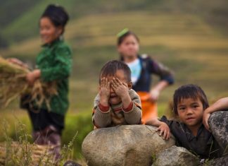 Découvrir le Vietnam : un voyage sur mesure au cœur de l’authenticité Découvrir le Vietnam