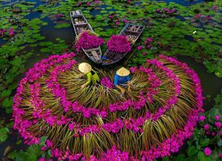 Découvrir le Vietnam avec guide francophone et chauffeur Découvrir le Vietnam avec guide francophone et chauffeur