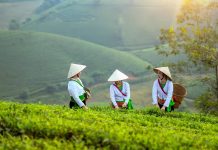 Guide francophone au Vietnam / Découvrez le Vietnam en profondeur grâce à un guide francophone passionné Guide francophone au Vietnam