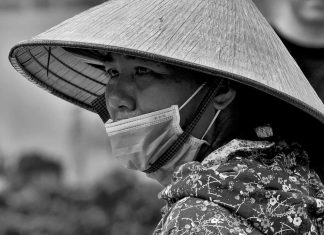 Quel est le mois le moins cher pour partir au Vietnam ? Bien préparer son voyage au Vietnam au meilleur prix le mois le moins cher pour partir au Vietnam