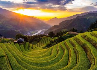 Quelles sont les plus belles rizières en terrasses du Vietnam ? Où, Période pour les voir ? les plus belles rizières en terrasses du Vietnam
