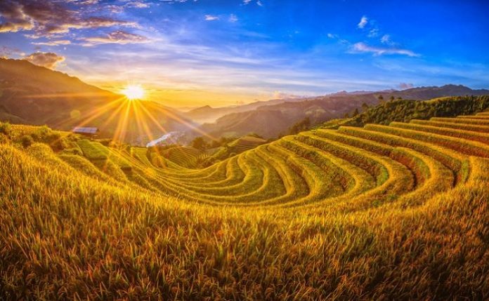 Rizières en terrasses de Sapa au Nord du Vietnam : Merveilles