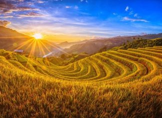 Raisons pour visiter le Vietnam en été / Été au Vietnam: Cap sur les rizières en terrasse du Nord