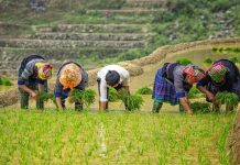 Voyage au Vietnam 100% sur mesure avec Voyagesviet Travel Voyage au Vietnam 100% sur mesure