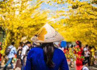 Pourquoi faire un voyage au Vietnam après la fête du Tet ? Raisons pour partir au Vietnam ? voyage au Vietnam après la fête du Tet 1