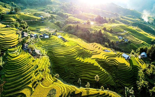 rizières en terrasses de Sapa