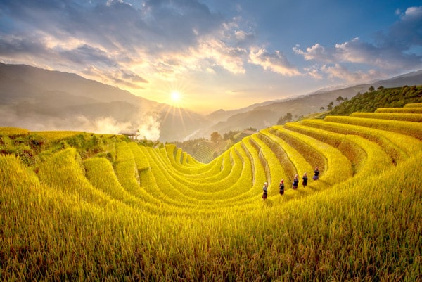 Vietnam en septembre : Les plus belles destinations, festivals et expériences à vivre