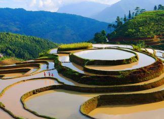 Combien coûte un billet d’avion pour le Vietnam ? Guide complet Combien coûte un billet d’avion pour le Vietnam