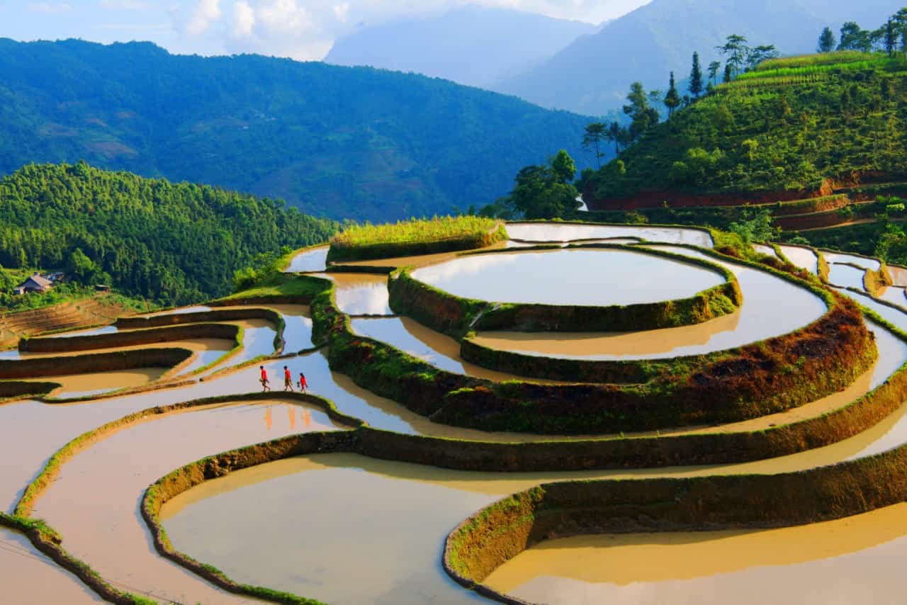 rizières en terrasses de Hoang Su Phi