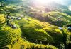 Les rizières en terrasses de Sapa au Nord du Vietnam : entre merveilles naturelles et traditions ancestrales rizières en terrasses de Sapa